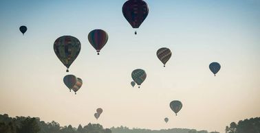 hot air balloons into the sky