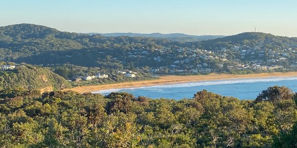 Scenic coastal view with lush greenery and a sandy beach under clear blue sky.