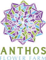 Anthos