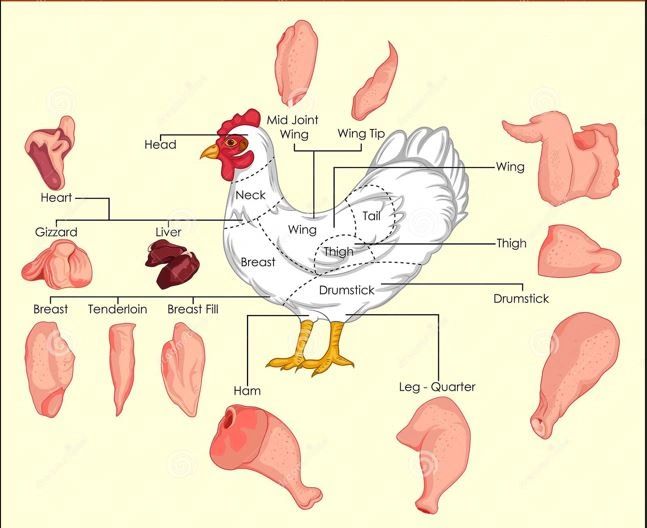 chicken-cuts