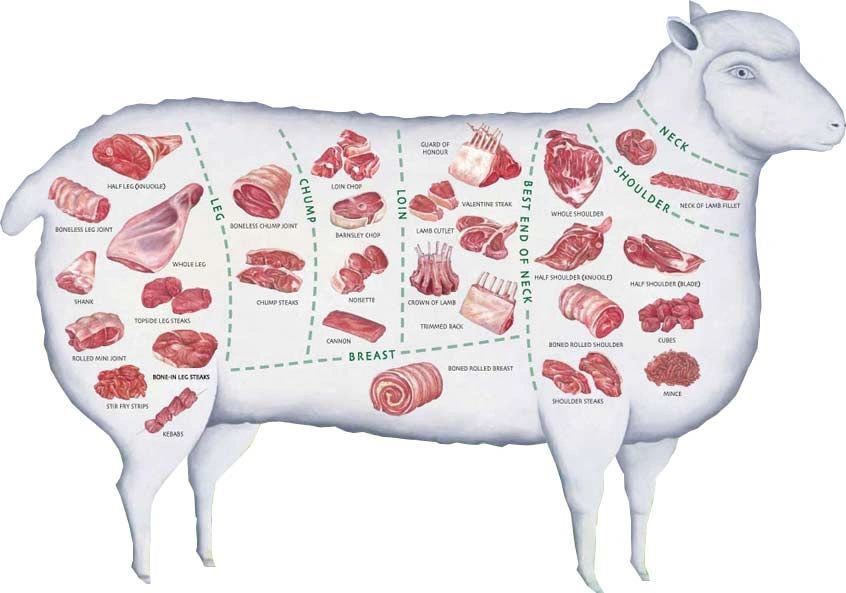lamb-cuts