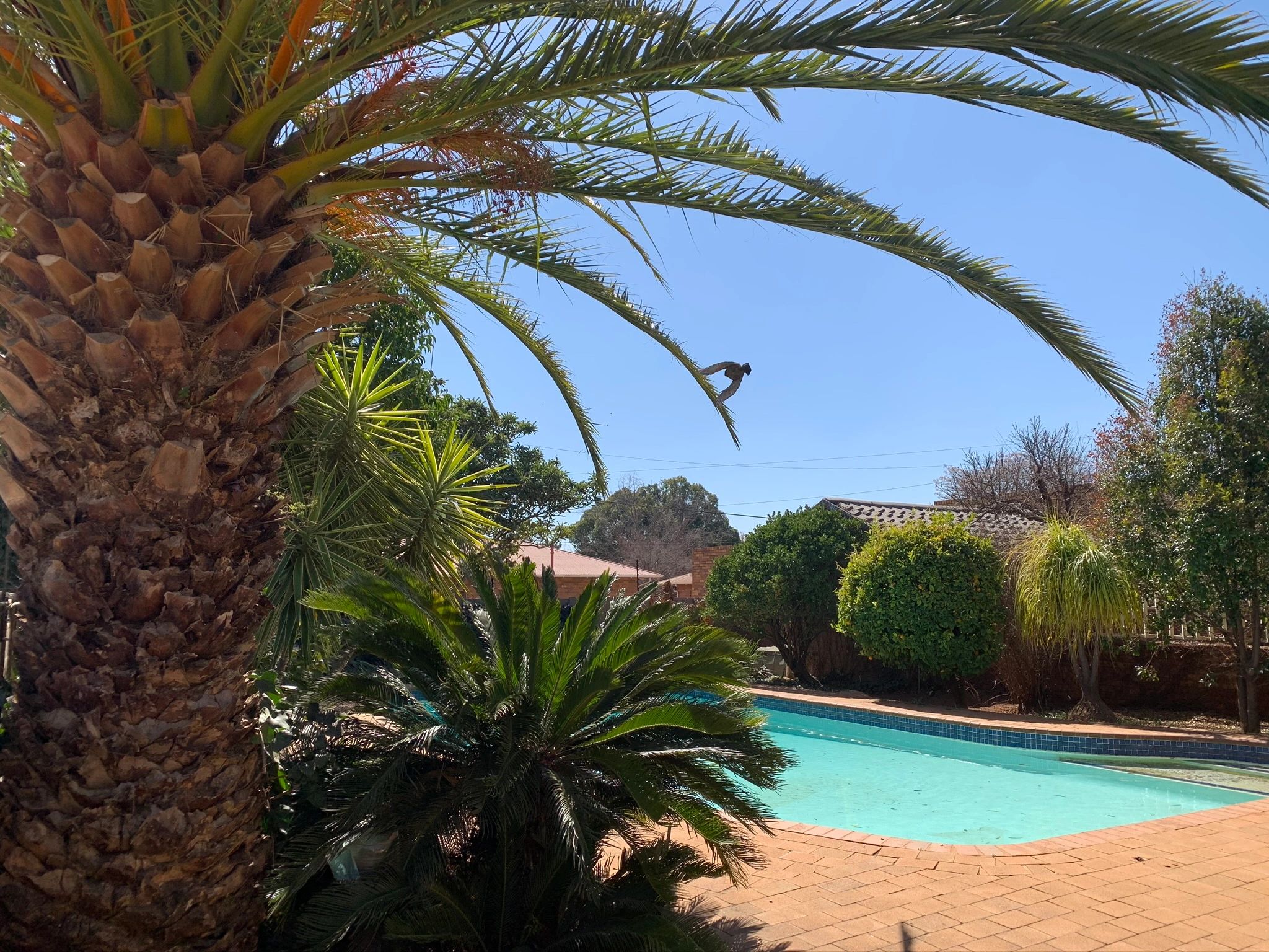 LifestyleThePlace Entertainment, Dining & Events