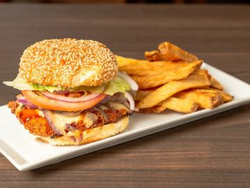 Hamburger with french fries