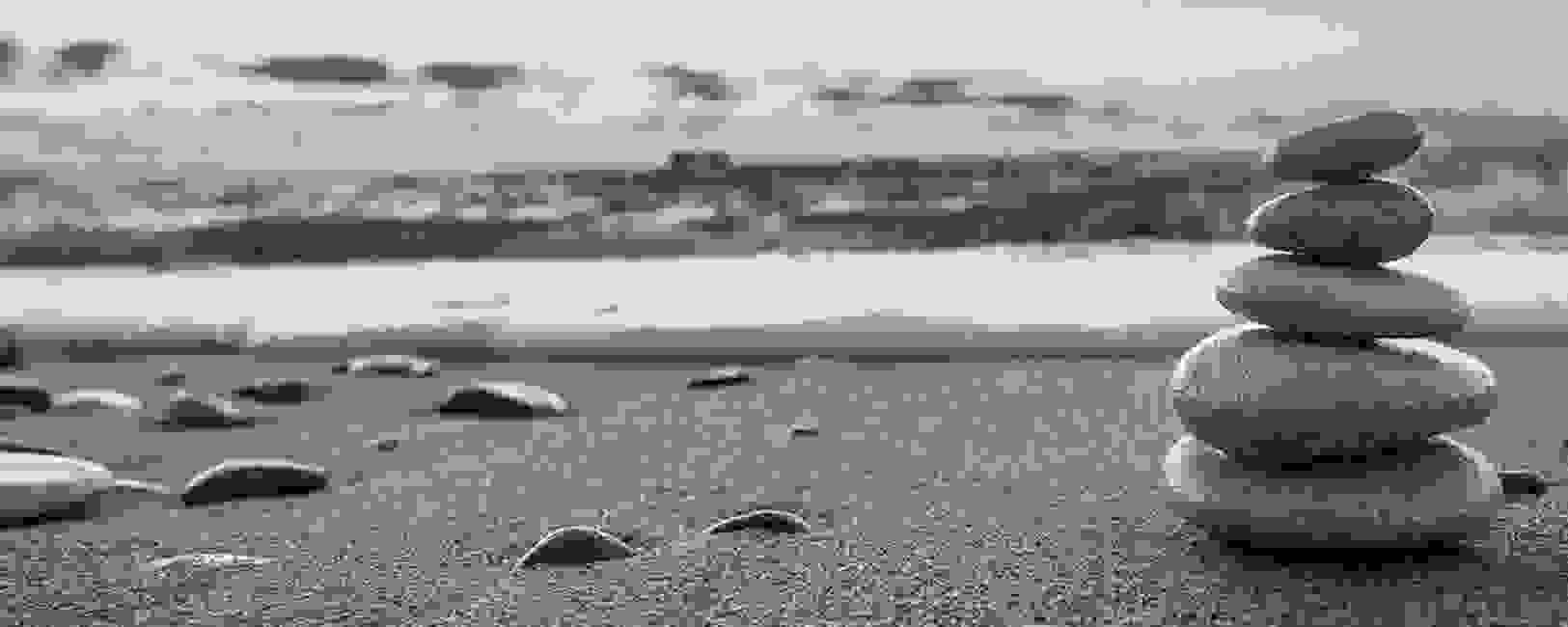 The Best Option, LLC