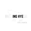barkinghyenaproductions.co.uk