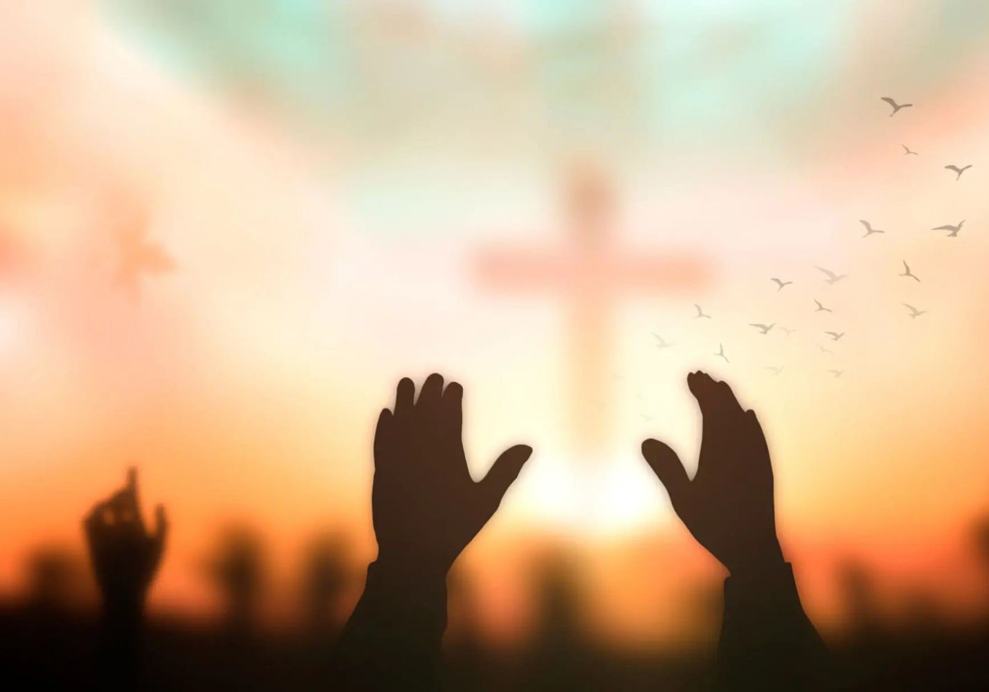 “No matter where you are in life, you are not alone — God’s hope and healing meet you here.”