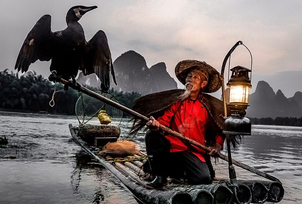 Cormorant Fishing, Yangshuo, China.