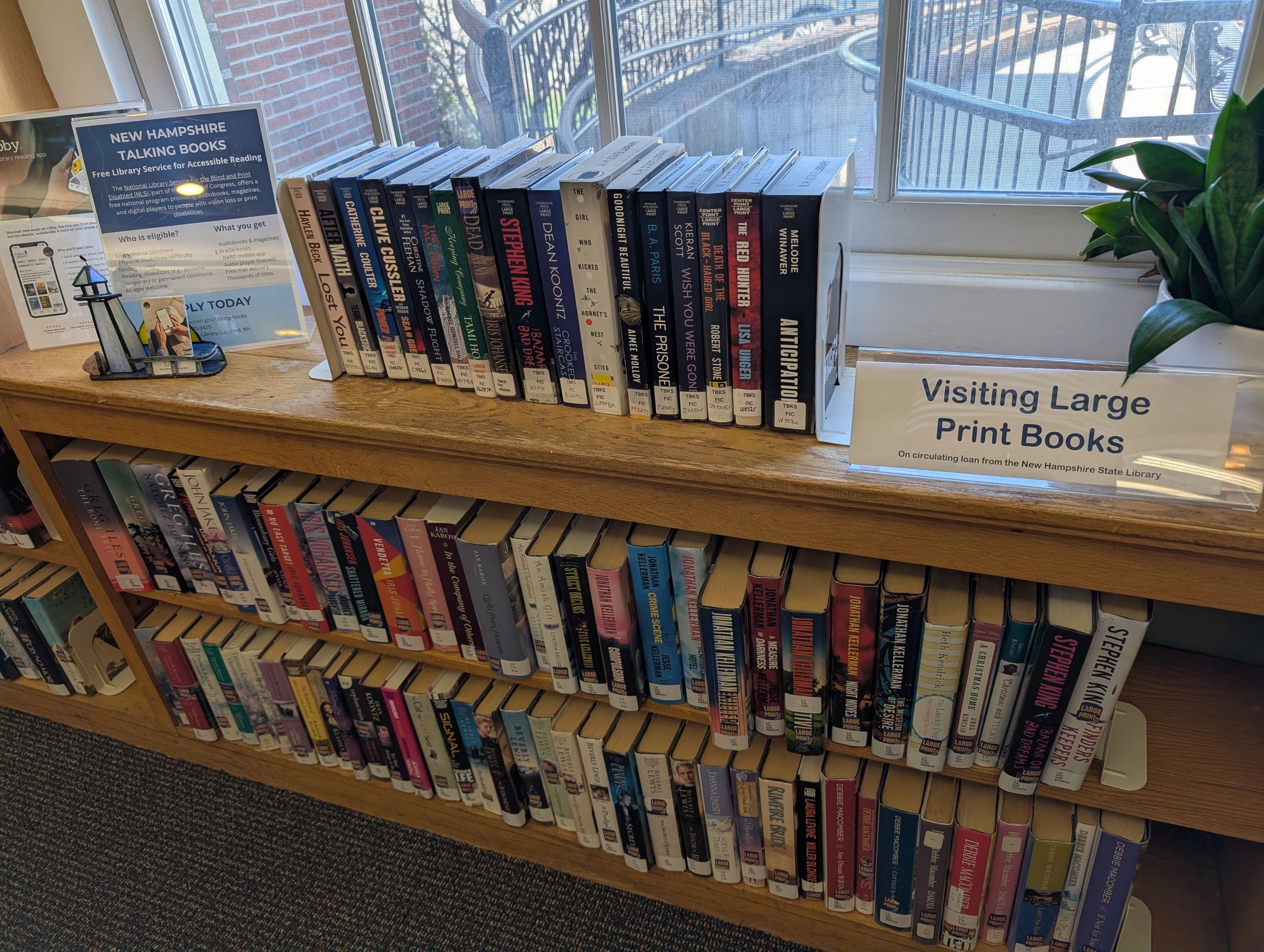 Large Print and Accessible Books