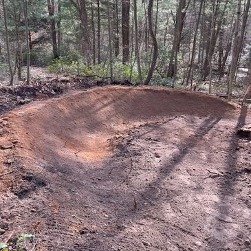 A freshly dug depression in a forest clearing.