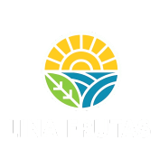 LINA FRUTAS
