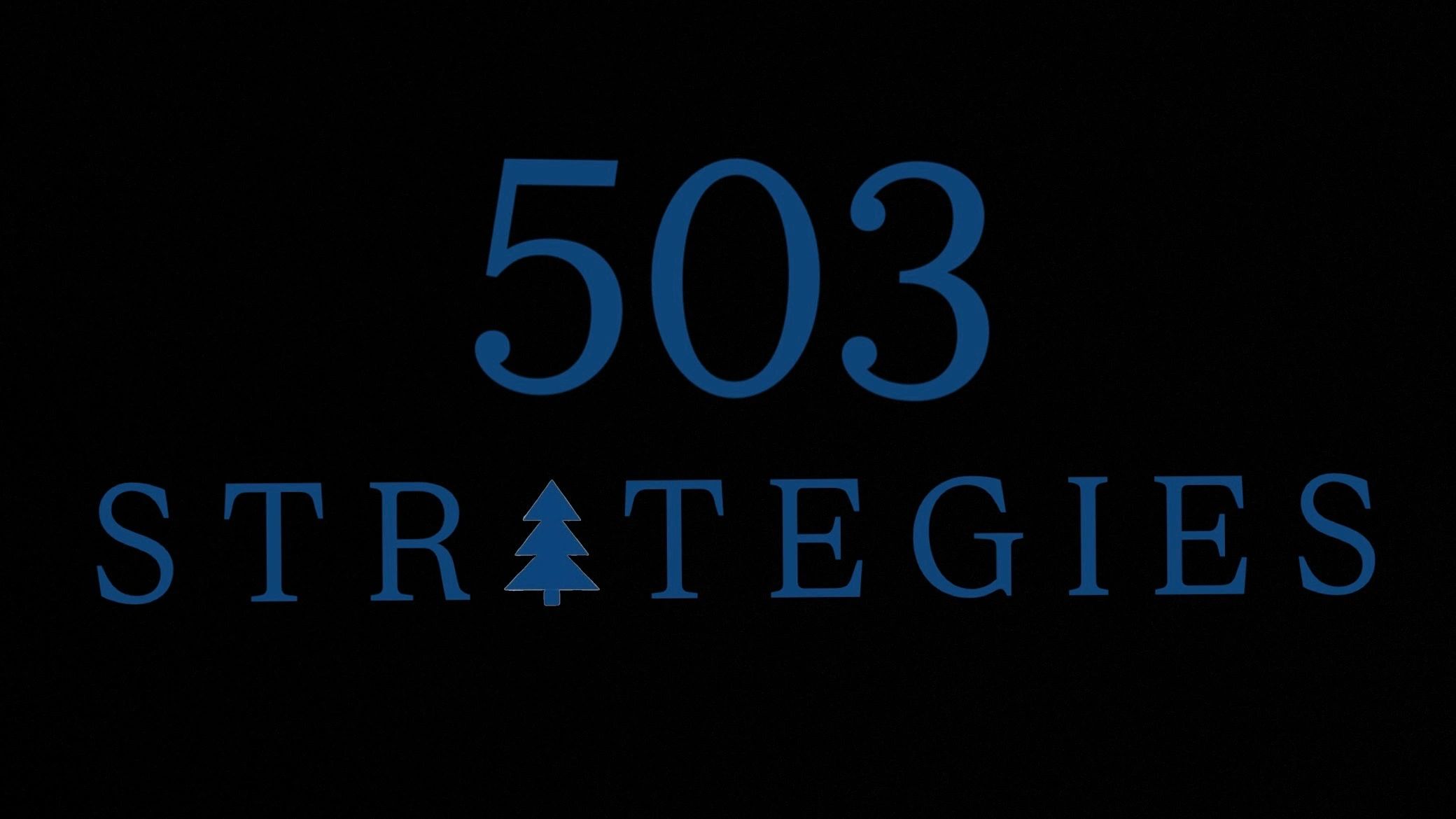 503 Strategies