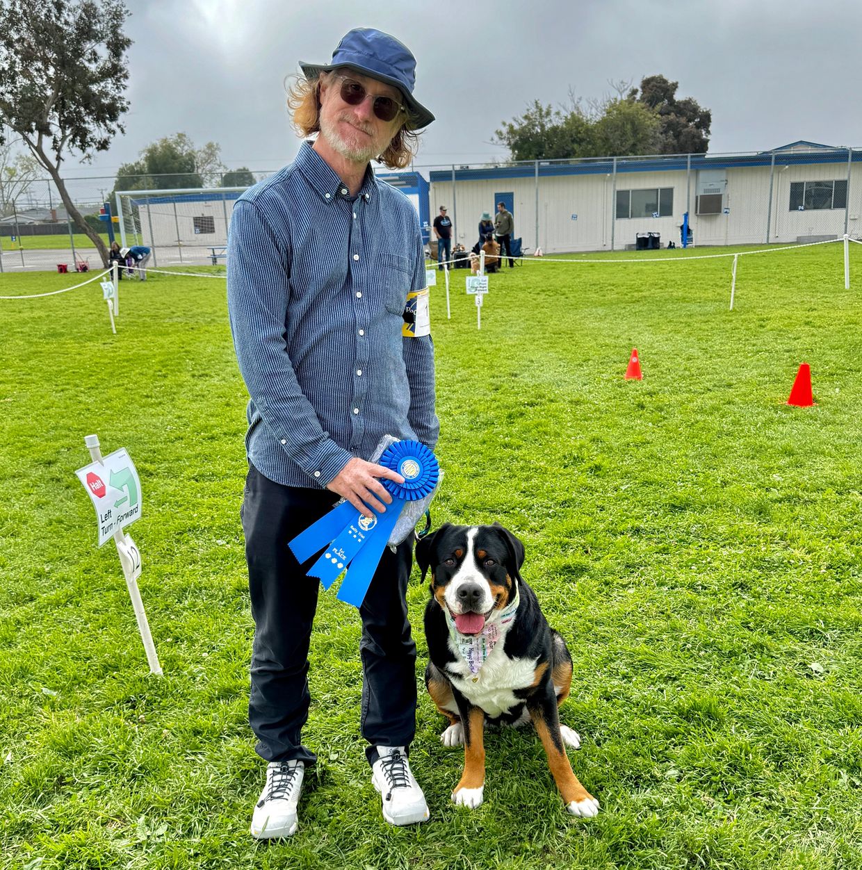 Greater Swiss Mountain Dog, puppies, Park Place Swissys, Swissy,
American Kennel Club,  Rally, GSMD