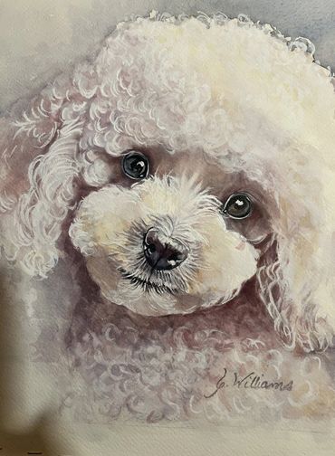 Detailed painting of a fluffy white poodle with expressive eyes.