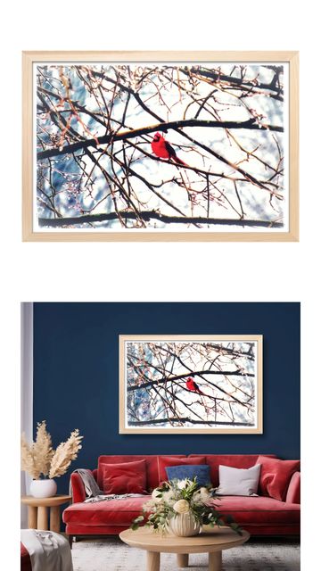 A vibrant red cardinal perched on bare branches in winter, framed in light wood.