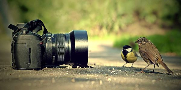 La memoria no guarda películas, guarda fotografías