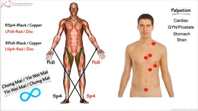 Diagram showing acupuncture points and meridians on the human body for palpation and treatment.