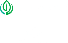 ngpgroup.co