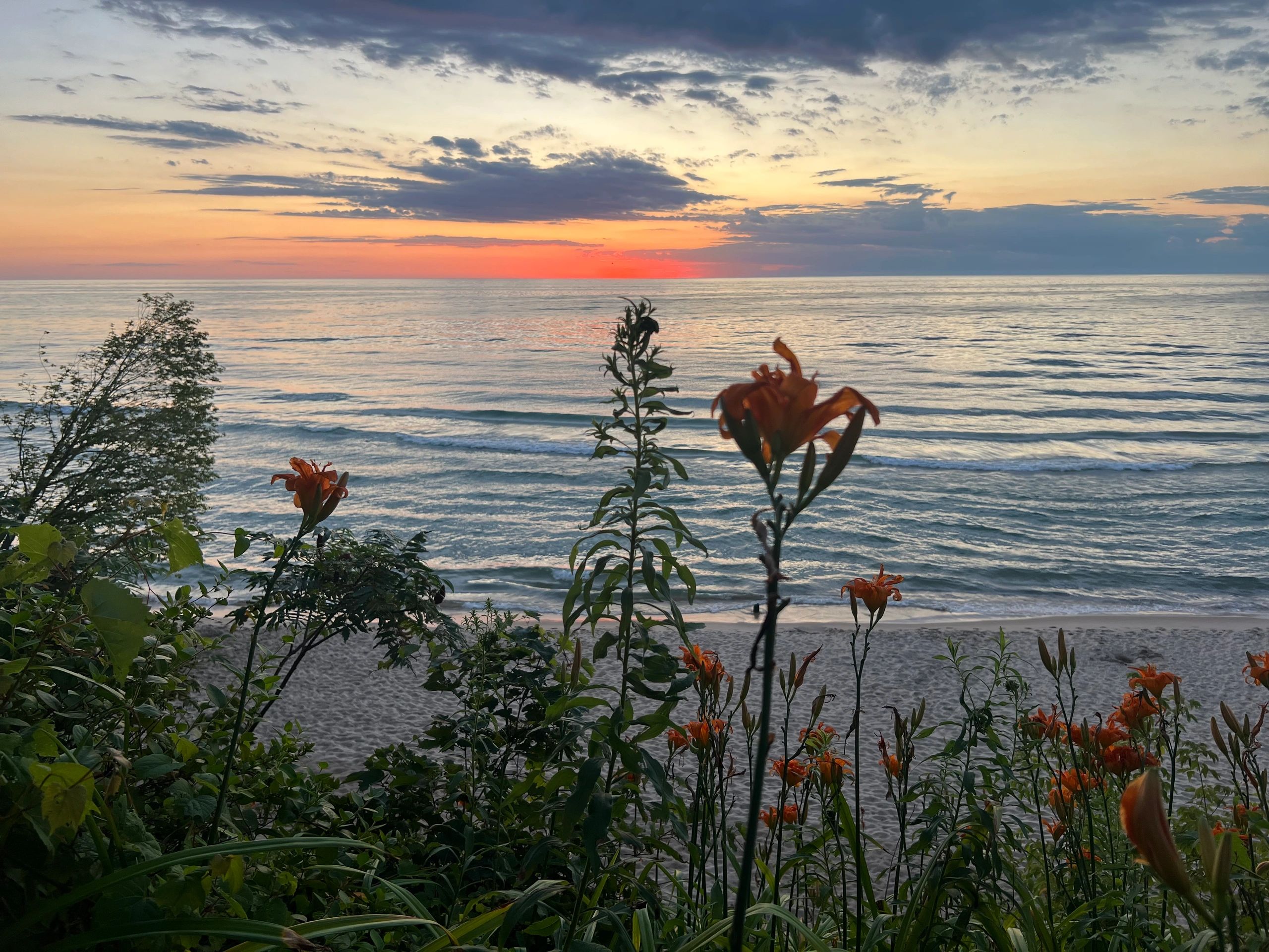 Lake Michigan Beach Association