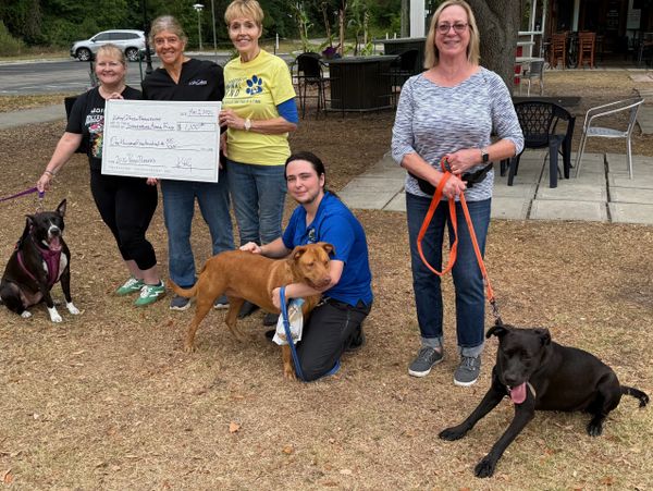 Check presentation with several participants and their dogs.