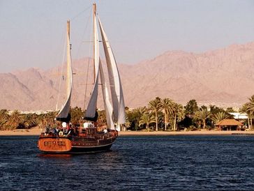 A sailboat glides on water near a palm-lined shore with mountains in the background.