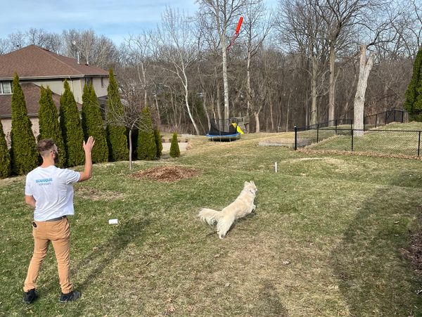 Man playing fetch with a dog in a backyard on a clear day.