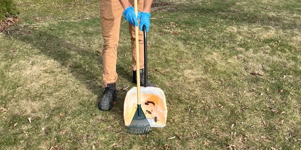 Person wearing gloves collects leaves and debris with a rake and dustpan on grass.