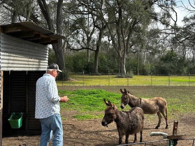 RV Park at 2 J's Farm photo 2
