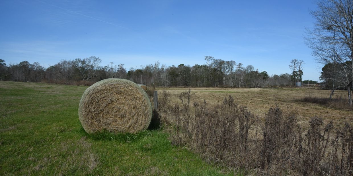 Land brokerage in Georgia