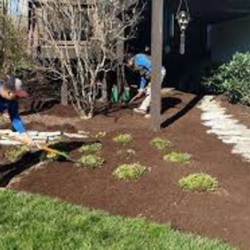 Two people planting greenery and spreading mulch in a garden bed.