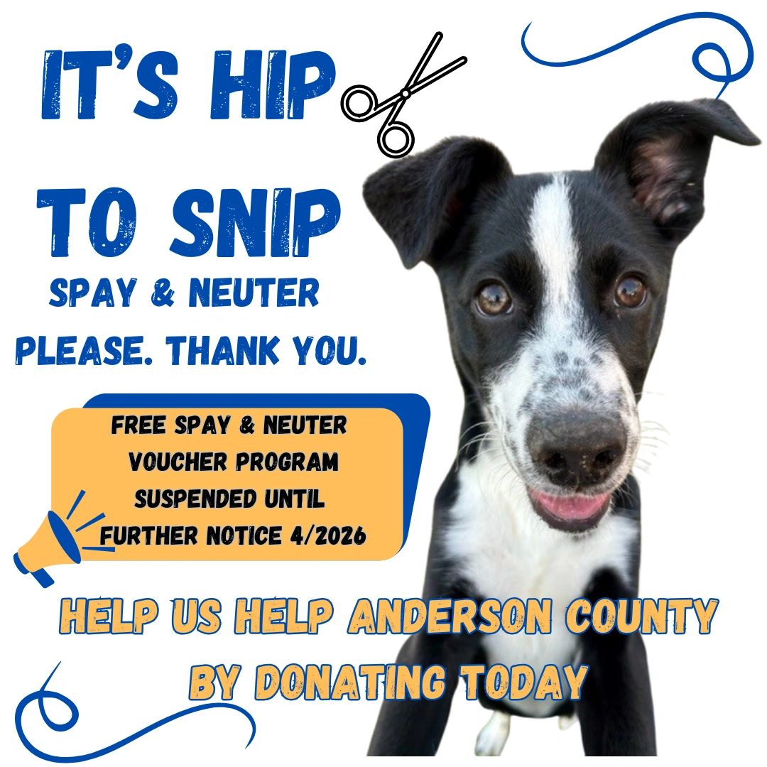 Anderson County Humane Society Inc logo