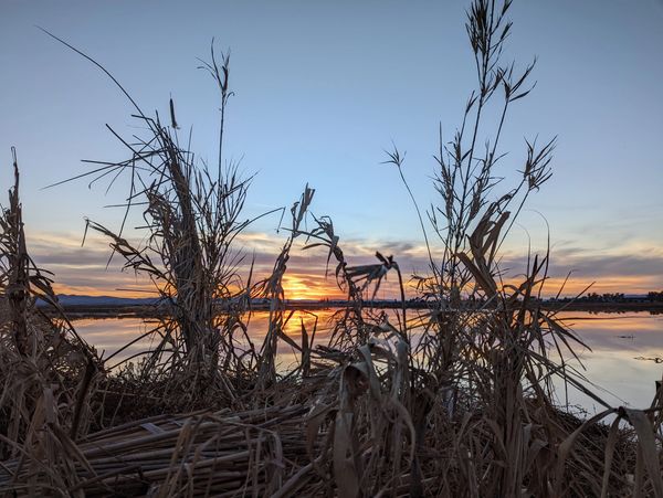 2-man Duck blinds at River Dog Duck Club