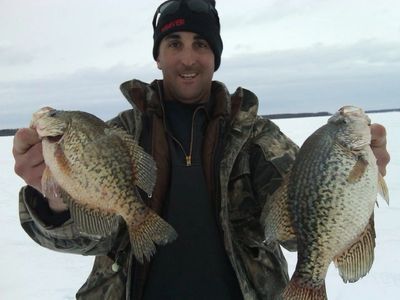 A couple of big crappies caught during a winter outing