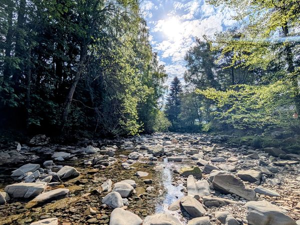 Sunlit rocky stream surrounded by lush trees.

Falls of Bruar - Scotland