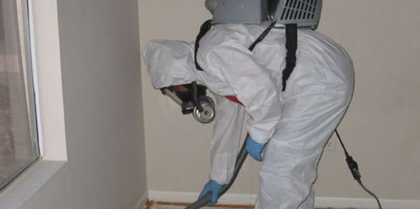 Mold damage, mold inspection,mold Testing 