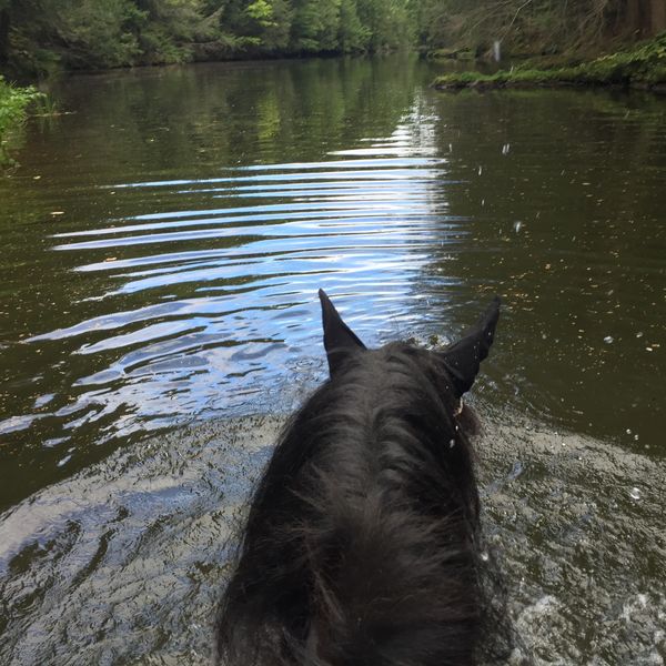 Lad upstream