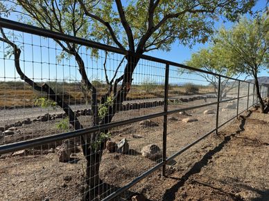 Metal wire fence with trees on a sunny day.