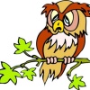 MyOCJV.com
