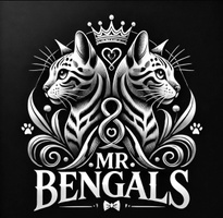 MR Bengals