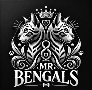 MR Bengals
