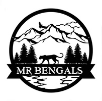 MR Bengals