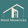 Mold Mavs Main Site