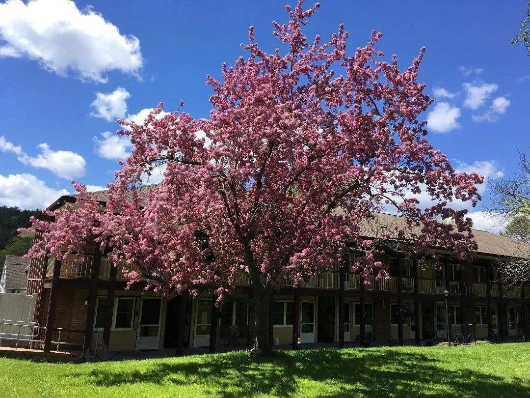 Lee Housing Authority