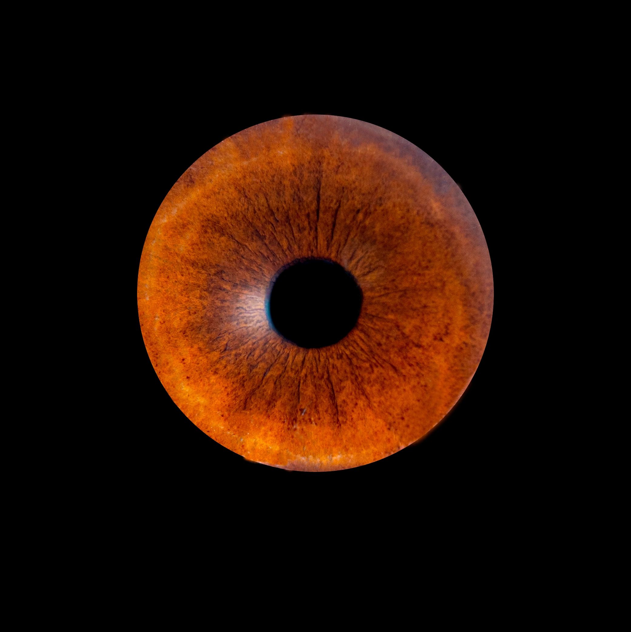 Close-up of a human brown eye with detailed iris pattern.