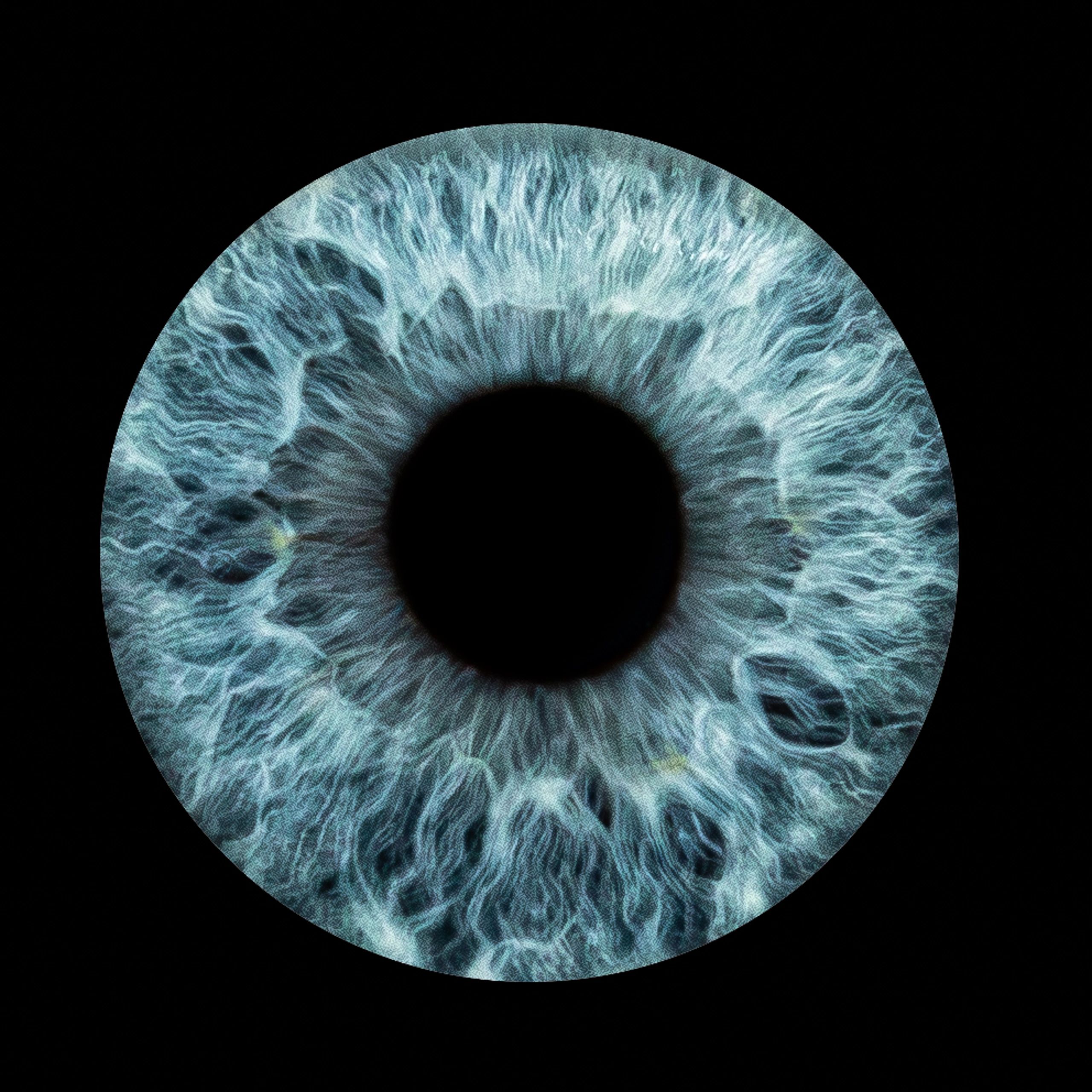 Close-up of a blue eye's iris and pupil.