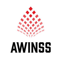 AWINSS LLC