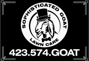 Sophisticated Goat
