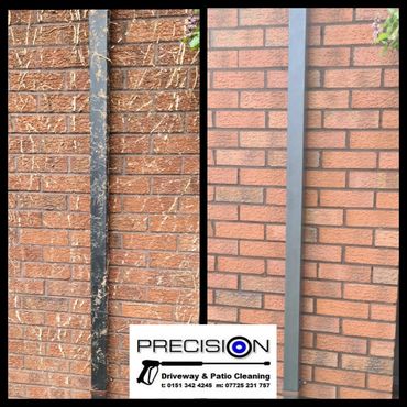 Ivy cleaning Wirral and Chester