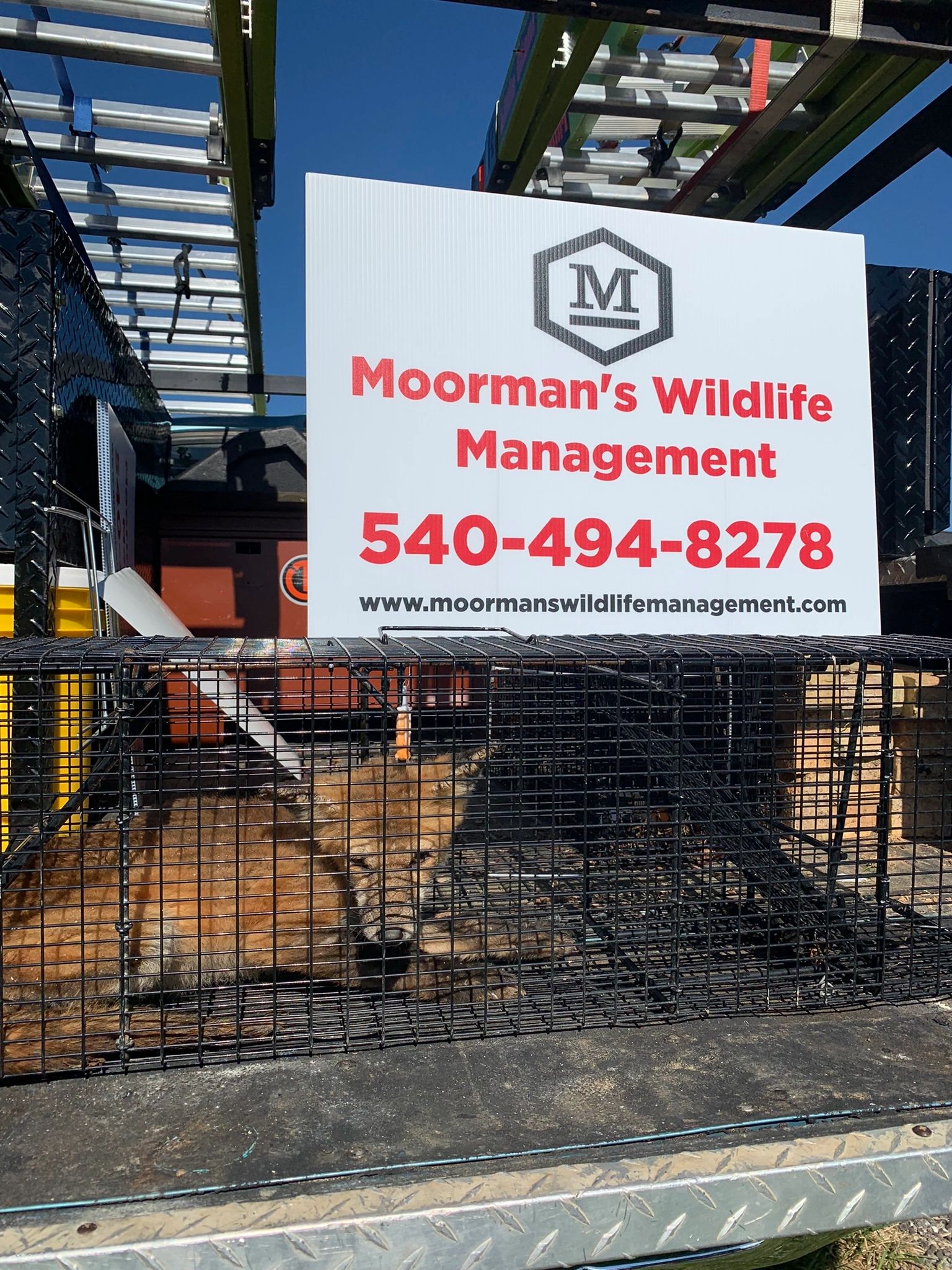 Wildlife Management