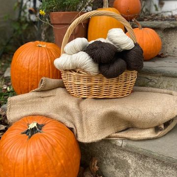 wool yarn in a fall setting