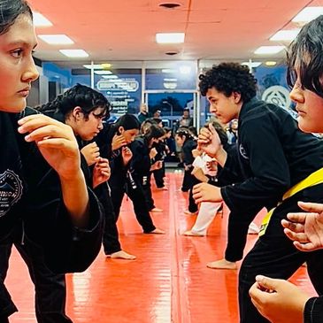 group of  brazilian jiu jitsu, bully proof, bullying stops here, self defense classes near La mirada